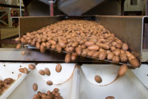Green Valley Pecan Plant Processing